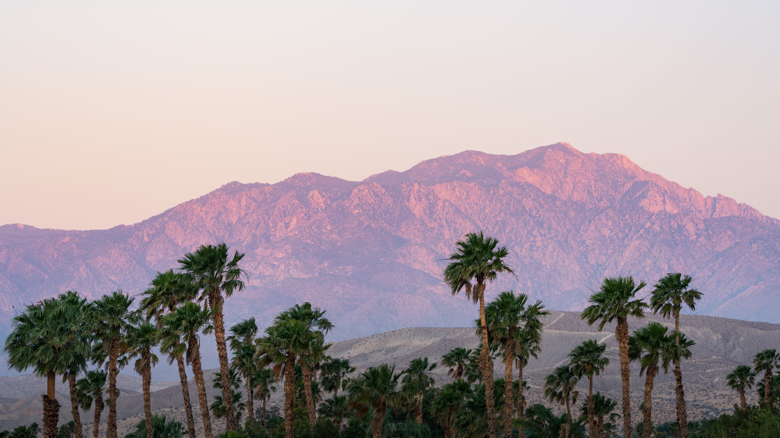 Sunset at Coachella festival