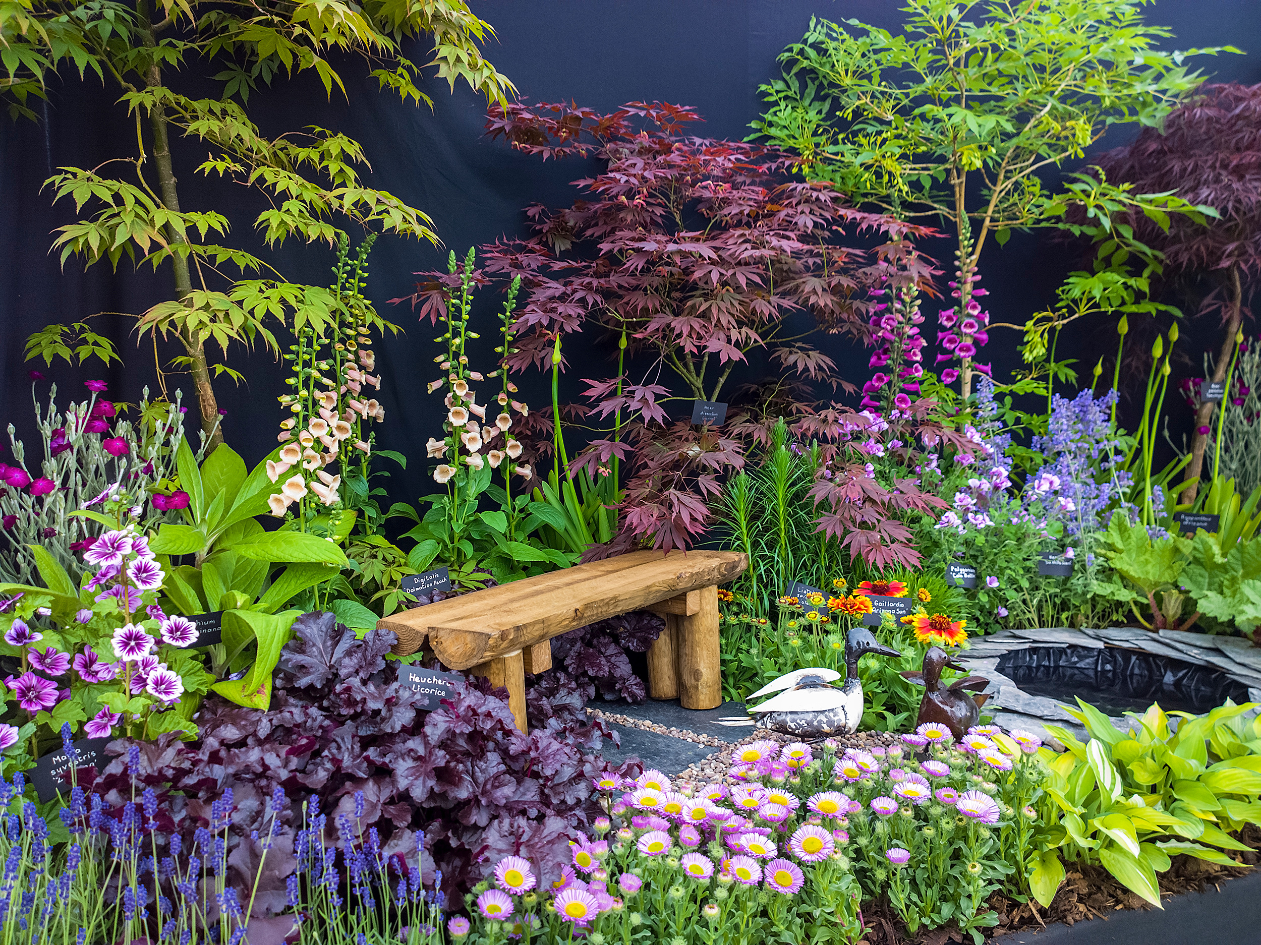 Flower display in garden